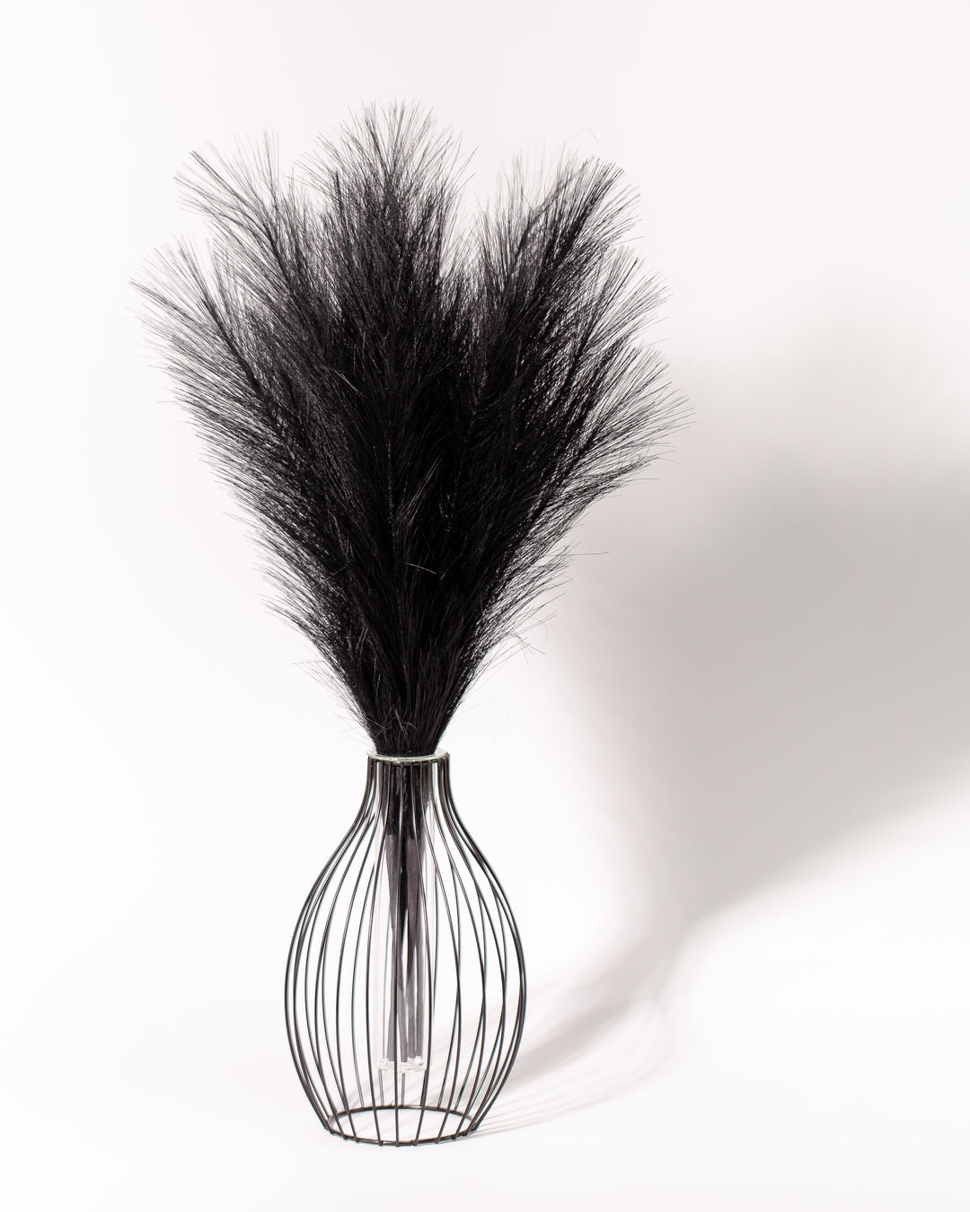 FAUX PAMPAS GRASS - Black